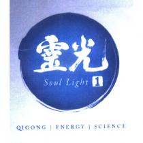 靈光 1 Soul Light QIGONG ENERGY SCIENCE 及圖