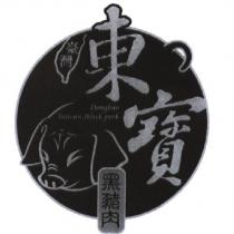 東寶 Dongbao 及圖