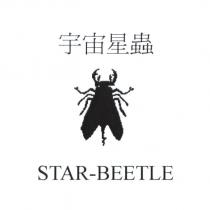 宇宙星蟲 STAR-BEETLE 及圖