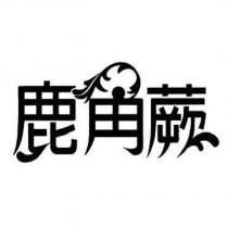 鹿角蕨設計圖