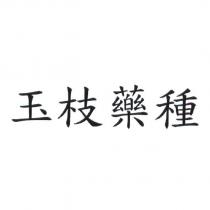 玉枝藥種