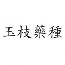 玉枝藥種