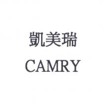 凱美瑞 CAMRY