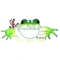 焦綠蛙 Focus green frog 及圖