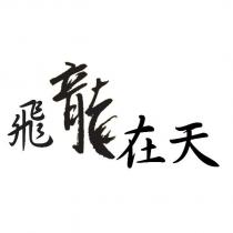 飛龍在天設計圖