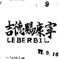 吉德賜康寧 LEBERBIL