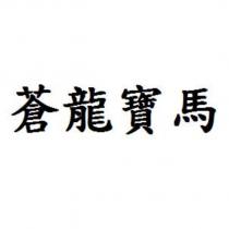 蒼龍寶馬