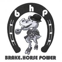 BRAKE.HORSE POWER bhp 及圖