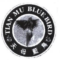 天母藍鳥 TIANMU BLUB BIRD 及圖