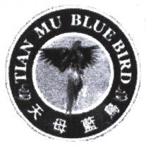 天母藍鳥 TIANMU BLUE BIRD 及圖