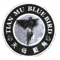 天母藍鳥 TIANMU BLUE BIRD 及圖