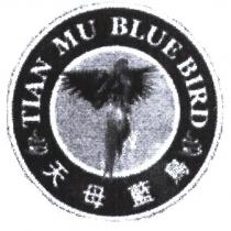 天母藍鳥 TIANMU BLUE BIRD 及圖