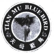 天母藍鳥 TIANMU BLUE BIRD 及圖