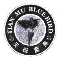 天母藍鳥 TIANMU BLUE BIRD 及圖