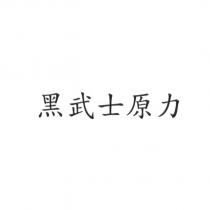 黑武士原力