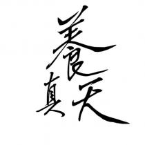 養真天設計字