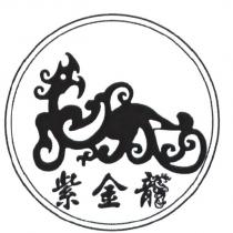 紫金龍及圖
