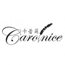 卡蕾爾 Carolnice 及圖