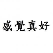 感覺真好