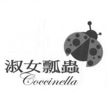 淑女瓢蟲 coccinella 及圖