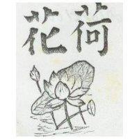 荷花及圖 
