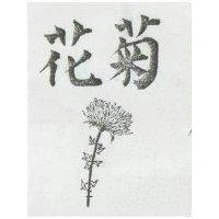 菊花及圖