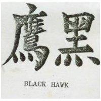 黑鷹 BLACK HAWK