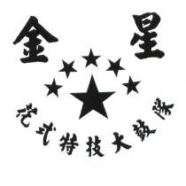 金星及圖花式特技大鼓隊