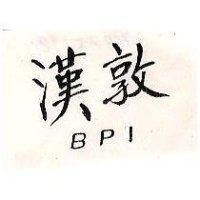 漢敦 BPI 