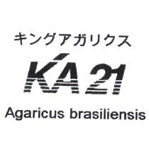 キングアガリクス KA21 Agaricus brasiliensis 及圖