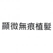 顯微無痕植髮