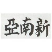 新南亞
