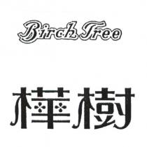 樺樹 Birch Tree