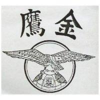 宏榮金鷹及圖