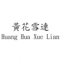黃花雪連 Huang Hua Xue Lian