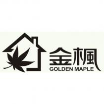 金楓 GOLDEN MAPLE 及圖