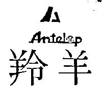 羚羊及圖 ANTELOP 