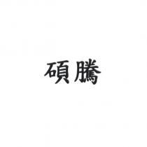 碩騰 [ZOETIS in traditional Chinese Characters ]