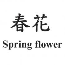 春花 Spring flower