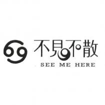 不見不散 SEE ME HERE 及圖