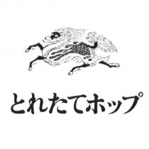 とれたてホップ & Kirin Device