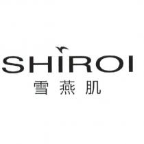 雪燕肌 SHIROI & Chinese Characters