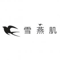 雪燕肌 SHIROI in Chinese Characters & Device