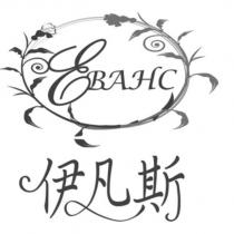 伊凡斯及圖 EBAHC
