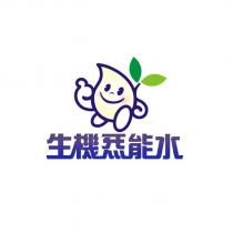 生機炁能水及圖