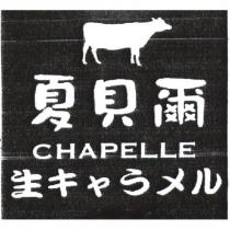 夏貝爾 CHAPELLE 生 キャラメル 及圖