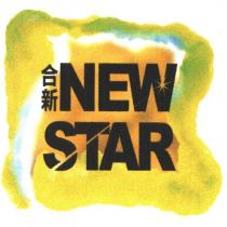 合新 NEW STAR
