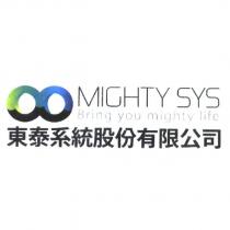 東泰系統股份有限公司標章圖
