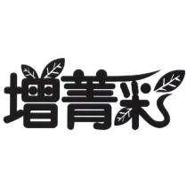 增菁彩