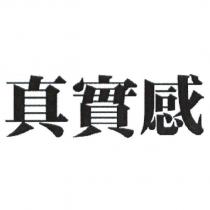 真實感